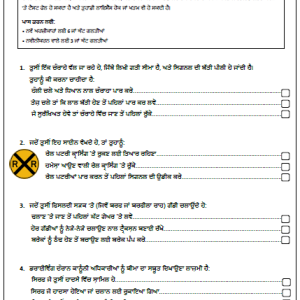 CA DMV Written Exam Test Paper in Punjabi