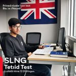 UK Theory Mock Test Practice Questions in Punjabi